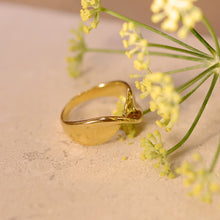 Load image into Gallery viewer, 18K Gold Plated Twisted Ring