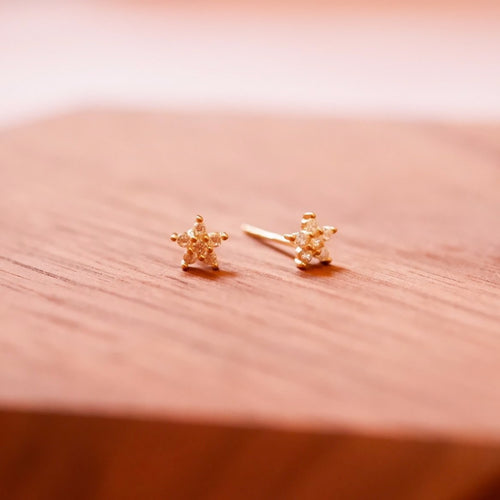 18K Gold Plated Petite Cubic Zirconia Star Stud Earrings