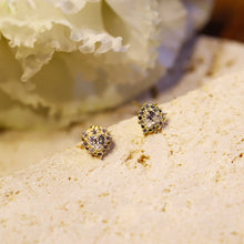 Load image into Gallery viewer, 18K Gold Plated Petite Cubic Zirconia Little Berry Heart Earrings